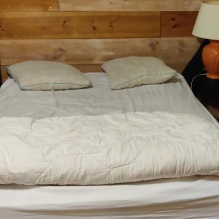 La Cabane Rustique Du Bassin Apartment La Teste-de-Buch Ngoại thất bức ảnh